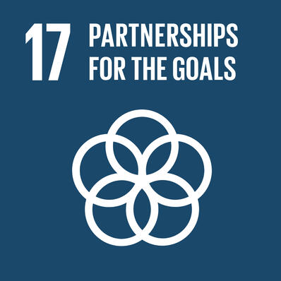 sdg_17